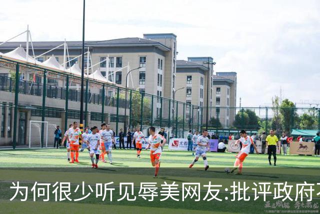 为何很少听见"辱美"?网友:批评政府不等于侮辱国家别把二者搞混了