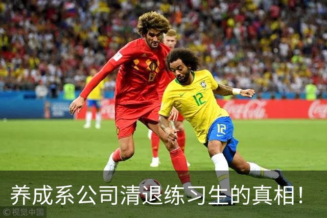 养成系公司清退练习生的真相！