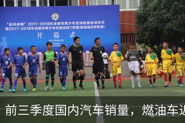 前三季度国内汽车销量，燃油车近乎腰斩，比亚迪销量断崖领先