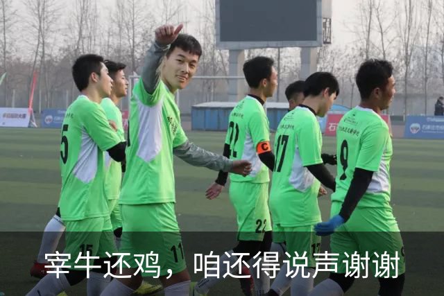 宰牛还鸡，咱还得说声谢谢
