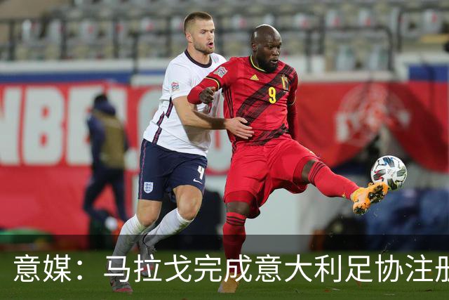 意媒：马拉戈完成意大利足协注册，为12月主席选举扫清障碍