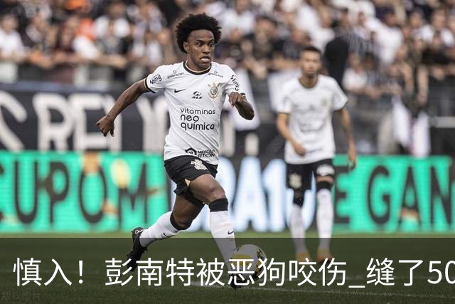 慎入！彭南特被恶狗咬伤 缝了50多针，所幸他的宠物犬英勇护主