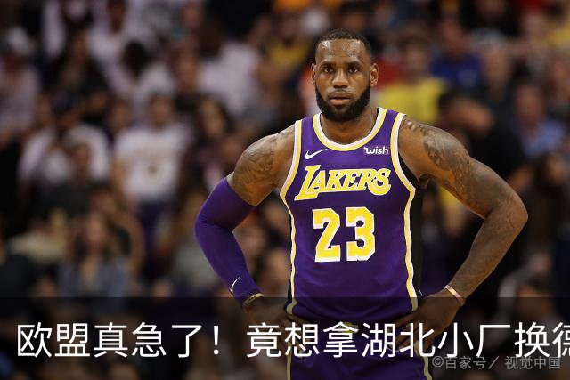 欧盟真急了！竟想拿湖北小厂换德国12人作坊，阿斯麦供应链要断了