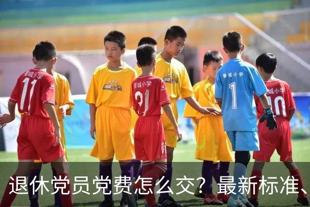 退休党员党费怎么交？最新标准、计算方法、常见误区一次性讲清楚