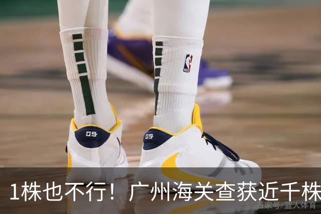 1株也不行！广州海关查获近千株盆栽，有625盆竟是“国宝级”植物