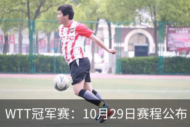 WTT冠军赛：10月29日赛程公布！国乒对决世界冠军，两大主力内战